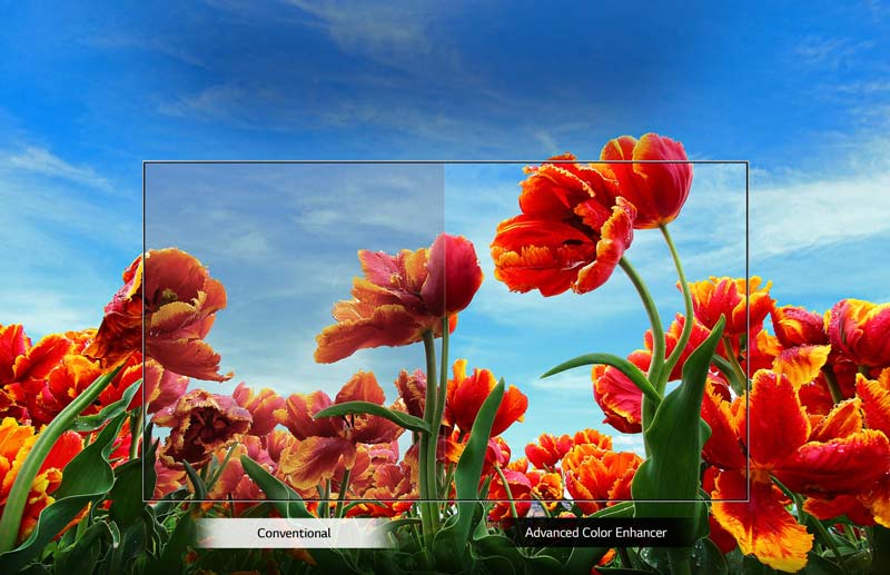 lg tv lm6300